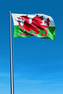 Wales flag waving on the wind Stock-Illustration