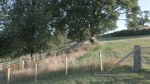 Wales Video stock 282543463