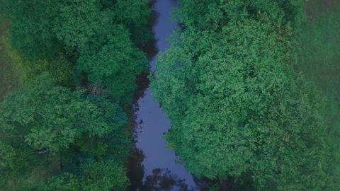 Wales, river flowing through a green forest. Aerial view. Stock Footage 344907526