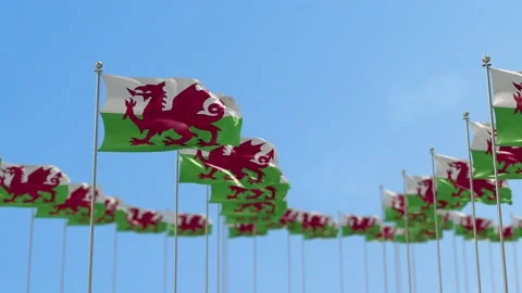 Wales row flag Row Of Flags Animation Stock-Footage 148806679