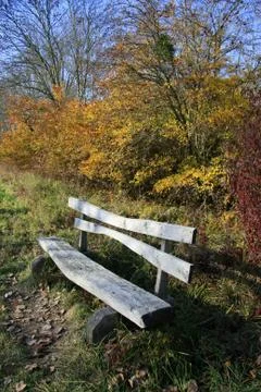 Waling in the park Stock Photos