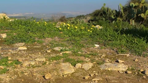 Walk 01 Video stock 89575222