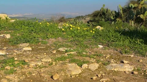 Walk 02 Video stock 89575209