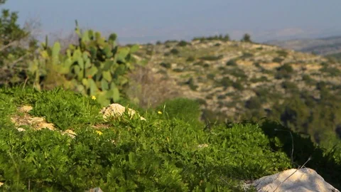 Walk 05 Video stock 89575172