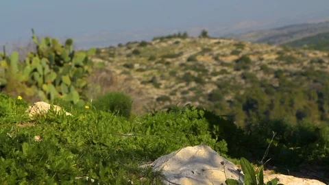 Walk 06 Video stock 89575158