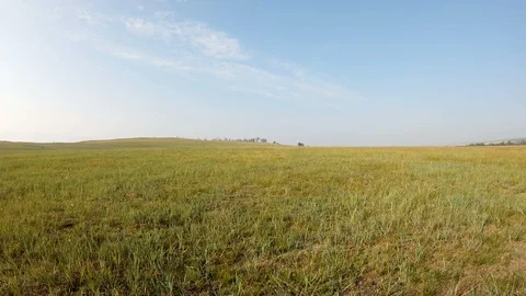 Walk across the field Stock Footage 111353600