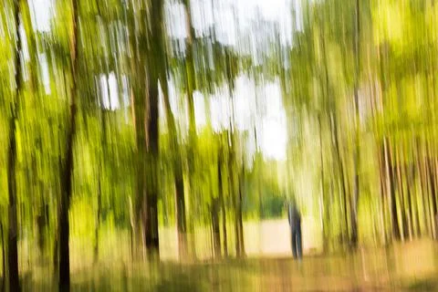A walk alone in the forest along the path Foto stock