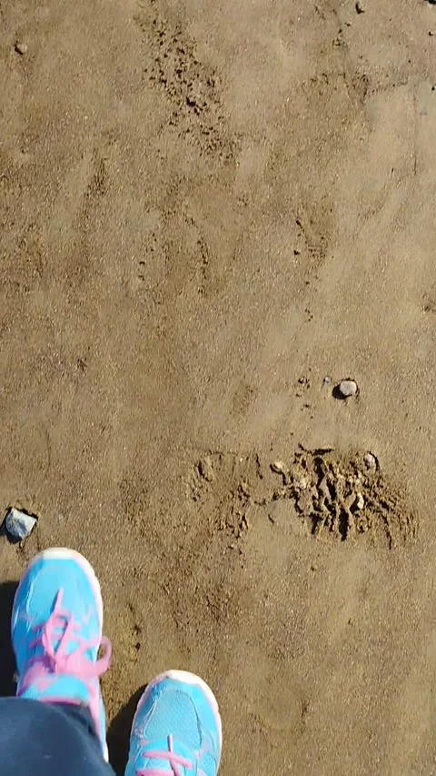 Walk alone without you Stock Footage 246484288