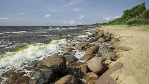 Walk along the Baltic dunes in summer Stock Footage 331304884