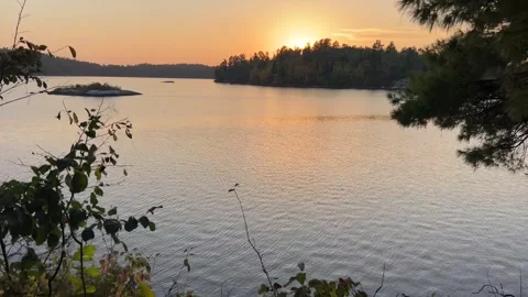 Walk along a lake at sunset in the trees Stock Footage 273176484