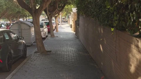 Walk along a narrow path between trees and parked cars in a city in the aft.. Stock Footage 340190440
