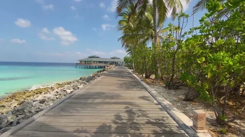 A walk along the ocean Stock Footage 172042325