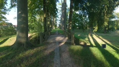 Walk along old small bridge between the trees Stock Footage 249828874