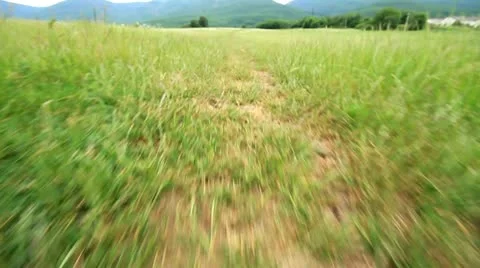 Walk along the path Video stock 11139232