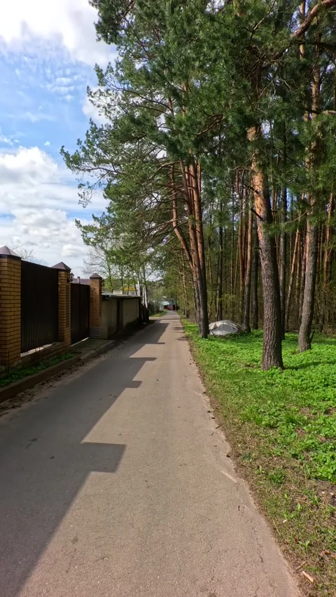 A walk along the path outside the city. Summer country walk along a small forest Stock Footage 274882251