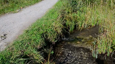 Walk along the path in the park. Stock Footage 80419428