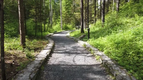 Walk along the path in the park. pathway with curbstone. green plants and trees Stock Footage 134737912