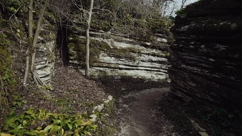 Walk along the path in a stone labyrinth in the middle of a mysterious forest 库存影片 113669971