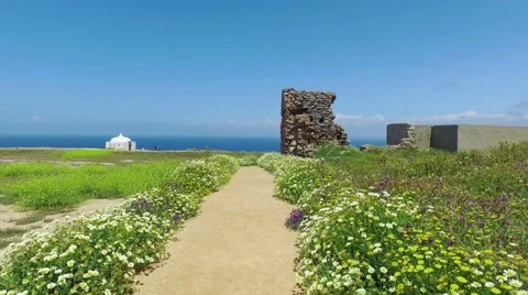 Walk Along the Path Surrounded by Flowers Stock Footage 63570914