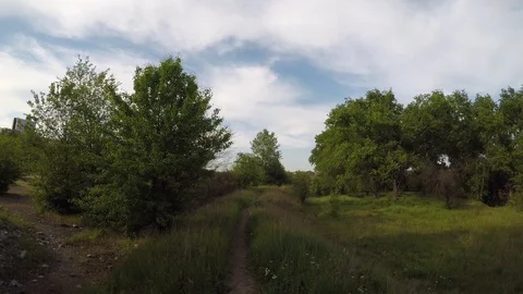 Walk along the path in a thick green grove Stock Footage 130168685