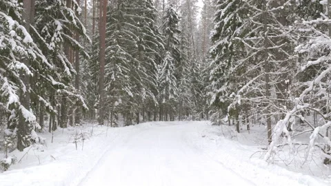 Walk along path in winter snow forest Stock-Footage 86142127