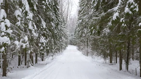 Walk along path in winter snow forest Stock-Footage 86142165