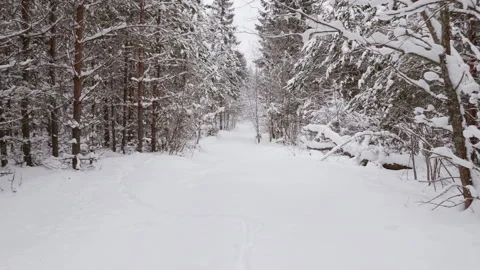 Walk along path in winter snow forest Stock-Footage 86339847