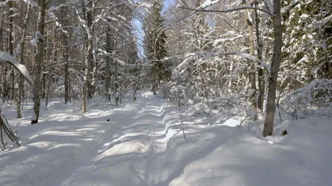 Walk along path in winter snow forest 스톡 동영상 86339863