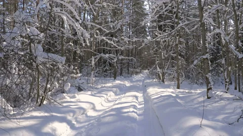 Walk along path in winter snow forest Stock-Footage 86340239