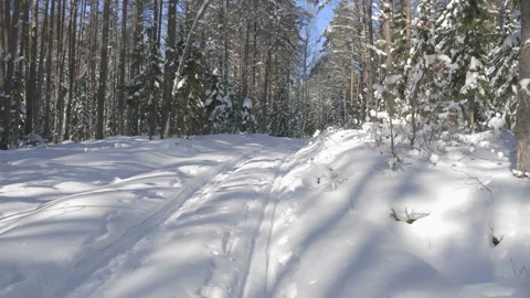 Walk along path in winter snow forest 스톡 동영상 86443316