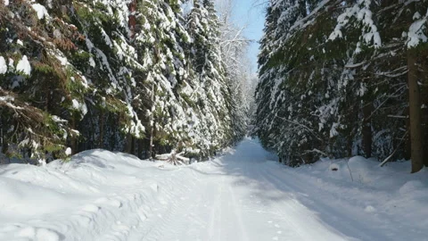 Walk along path in winter snow forest 스톡 동영상 86594989