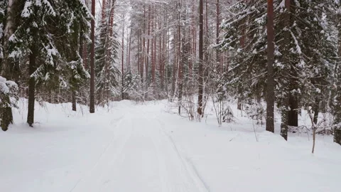 Walk along path in winter snow forest Stock-Footage 86595023