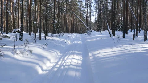 Walk along path in winter snow forest Stockbeeldmateriaal 86722426