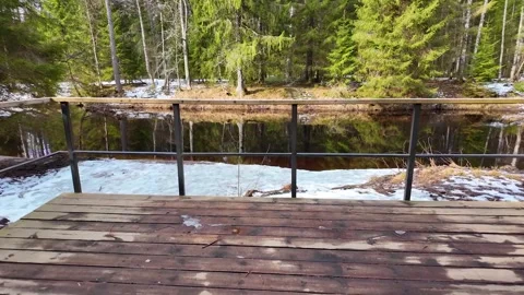 A walk along the river in the coniferous forest in early spring. Slowmotion Stock-Footage 320353245
