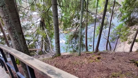 A walk along the river in the coniferous forest in early spring. Slowmotion Stock Footage 320353282