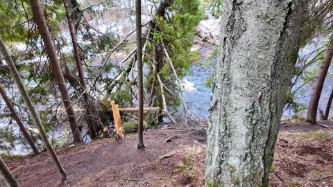 A walk along the river in the coniferous forest in early spring. Slowmotion 스톡 동영상 320353284