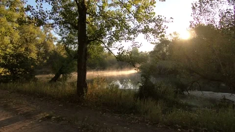 Walk along the river in the early autumn morning. Stock Footage 140095384