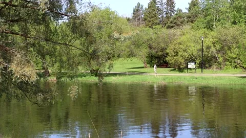 Walk Along River Stock Footage 131477245