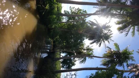 Walk Along River Stock Footage 182522118