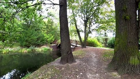 Walk along the river through an empty city park on a sunny summer day. No People Stock Footage 127685999