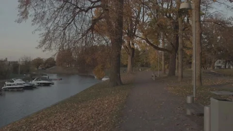 Walk along the river through an empty park 库存影片 219859266