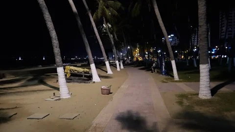 Walk along the sandy path along the seashore at sunset. Tall palm trees. Stock Footage 115960178
