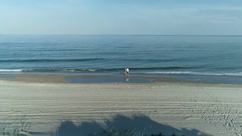 Walk along the seashore 4 Stock Footage 107778739