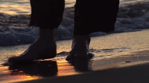 A walk along the seashore in the setting sun Stock Footage 233667693