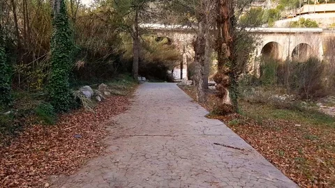 Walk along sidewalk with trees and bridge Stock Footage 128379904