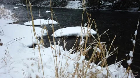 Walk Along Winter Snow Through Grassy Shoreline On Nice Dark Running River Water Stock Footage 162227644