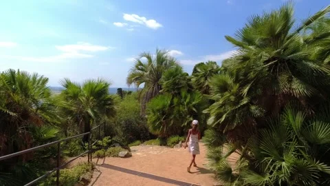 Walk among palm trees overlooking the sea in Jardín Botánico Marimurtra Stock Footage 250354442
