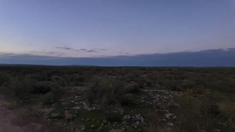 Walk Among Trees Stock Footage 328642384