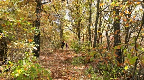 Walk In The Autumn Stock Footage 52478512