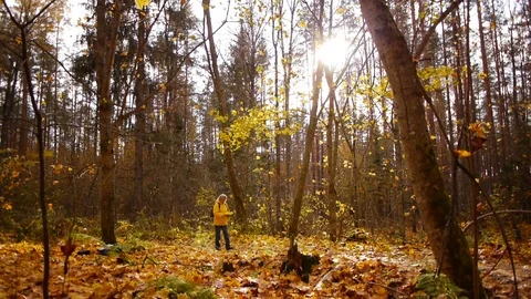 Walk in autumn forest Stockbeeldmateriaal 81395906